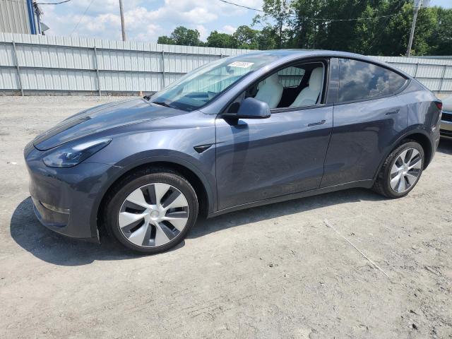 2023 TESLA MODEL Y, null