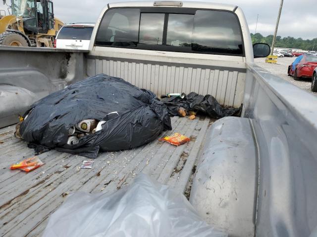 1B7HF16Y0XS203991 - 1999 DODGE RAM 1500 ვერცხლისფერი ფოტო 10