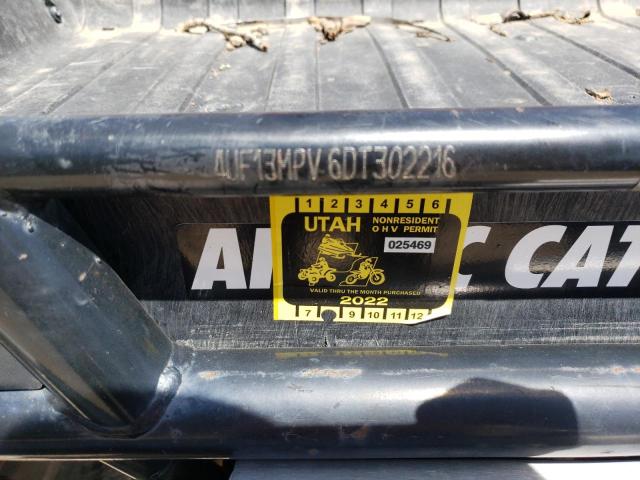 4UF13MPV6DT302216 - 2013 ARCTIC CAT WILDCAT RED photo 10