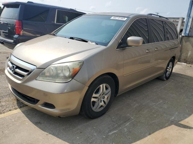 5FNRL38415B081770 - 2005 HONDA ODYSSEY EX GOLD photo 1