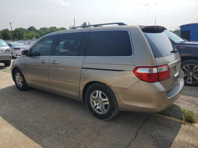 5FNRL38415B081770 - 2005 HONDA ODYSSEY EX GOLD photo 2