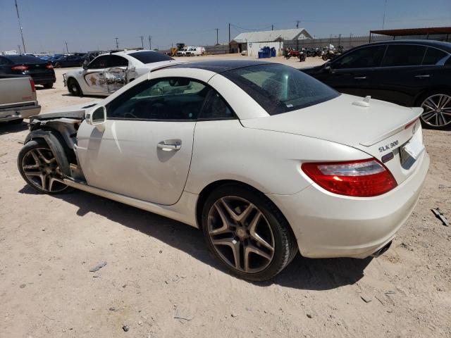 WDDPK3JA8GF119378 - 2016 MERCEDES-BENZ SLK 300 WHITE photo 2