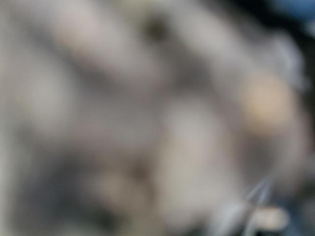 3C6TRVAG9KE506875 - 2019 RAM PROMASTER 1500 STANDARD WHITE photo 9