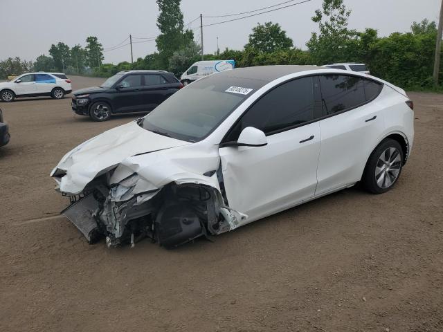 2023 TESLA MODEL Y, null