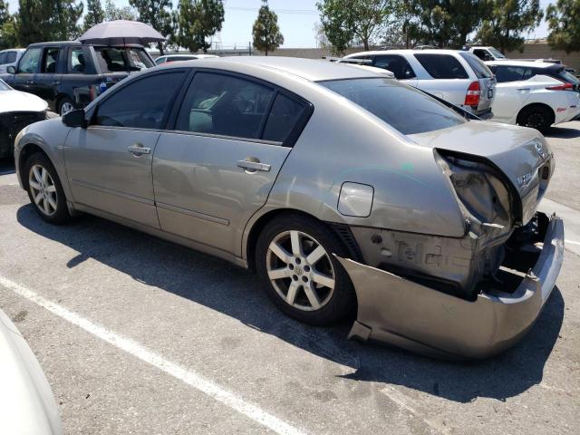 1N4BA41E34C916611 - 2004 NISSAN MAXIMA SE TAN photo 2