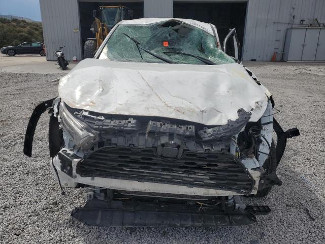 2T3F1RFV7PW381012 - 2023 TOYOTA RAV4 LE 白色 照片 5