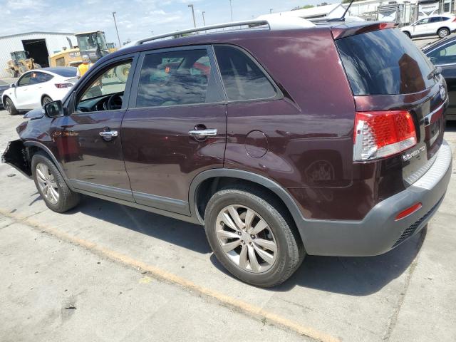 5XYKT4A22BG176097 - 2011 KIA SORENTO BASE BURGUNDY photo 2