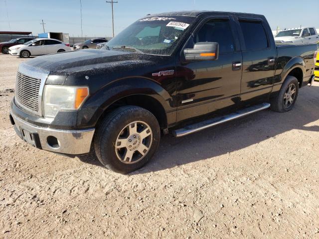 2013 FORD F150 SUPERCREW, 