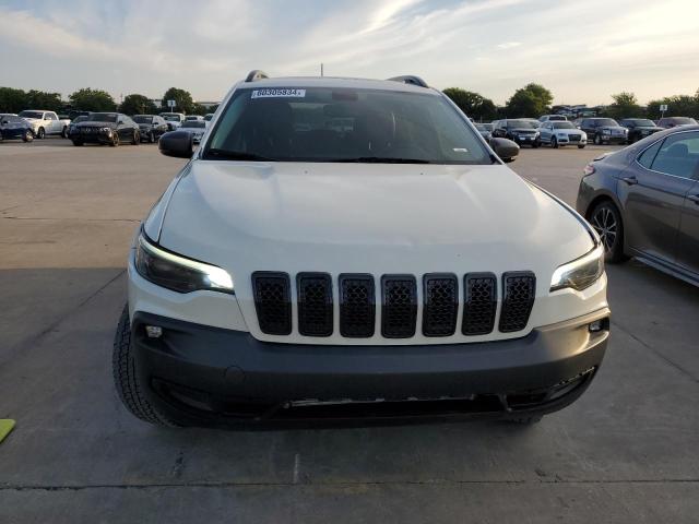 1C4PJMBN7KD282404 - 2019 JEEP CHEROKEE TRAILHAWK WHITE photo 5