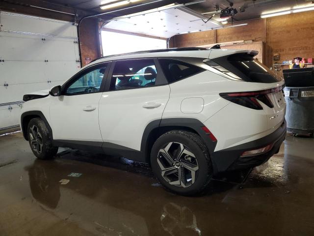 KM8JFCA14PU090750 - 2023 HYUNDAI TUCSON SEL CONVENIENCE 白色 照片 2