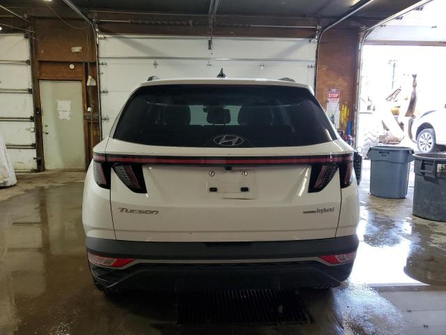 KM8JFCA14PU090750 - 2023 HYUNDAI TUCSON SEL CONVENIENCE 白色 照片 6