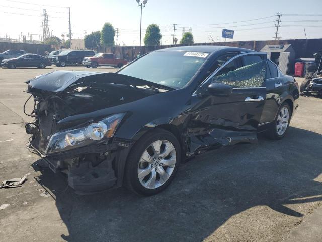 2009 HONDA ACCORD EXL, null