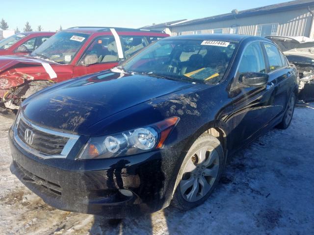 1HGCP36818A804144 - 2008 HONDA ACCORD EXL  photo 2