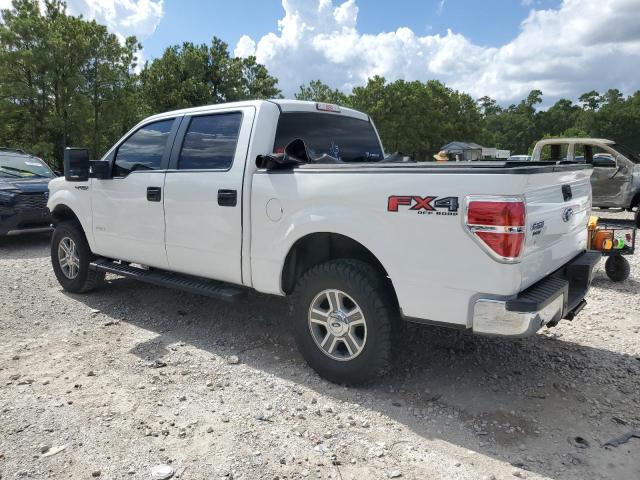 1FTFW1ET7EKD82086 - 2014 FORD F150 SUPERCREW WHITE photo 2