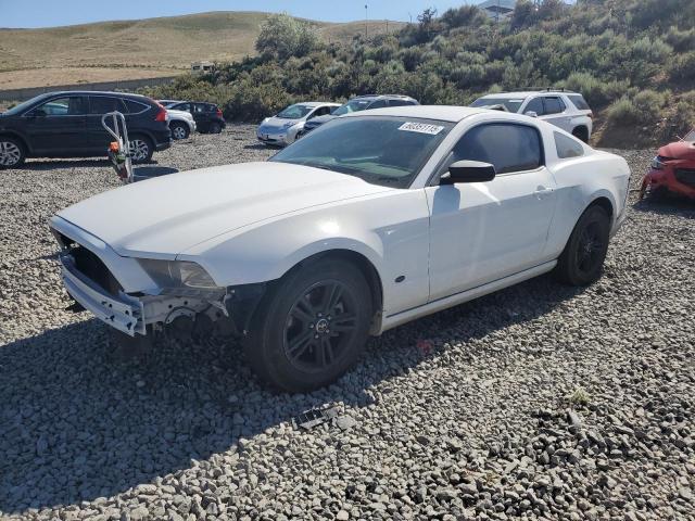 2014 FORD MUSTANG, null