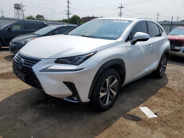 JTJBJRBZ0J2083406 - 2018 LEXUS NX 300H WHITE photo 1