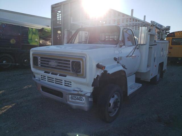 1GBE6D1A4EV137959 - 1984 CHEVROLET C6000 C6D042 WHITE photo 2