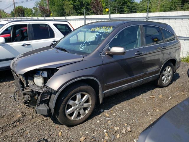 5J6RE48719L015033 - 2009 HONDA CR-V EXL GRAY photo 1