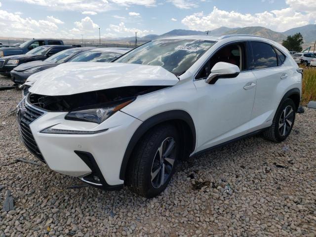 JTJGJRDZ3L2128862 - 2020 LEXUS NX 300H WHITE photo 1