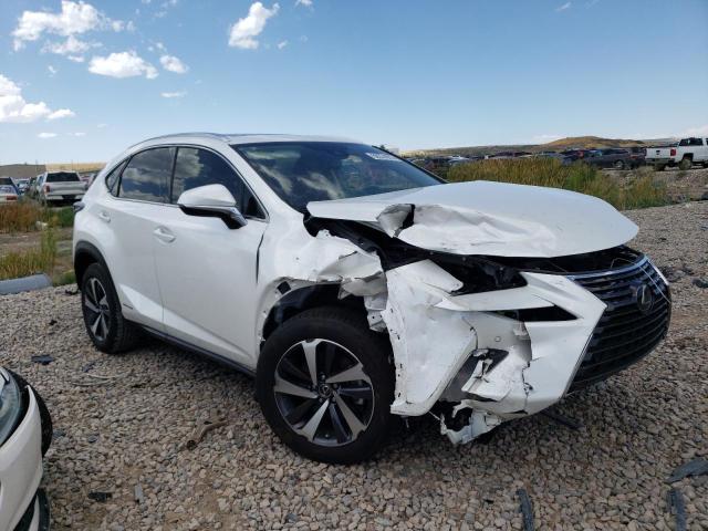 JTJGJRDZ3L2128862 - 2020 LEXUS NX 300H WHITE photo 4