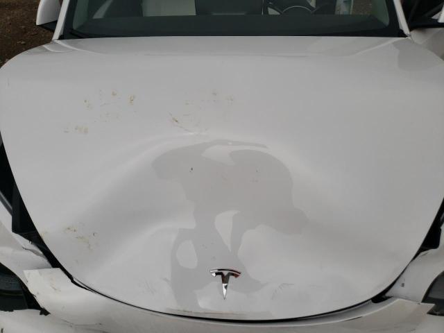 7SAYGDEE0RF170287 - 2024 TESLA MODEL Y WHITE photo 11