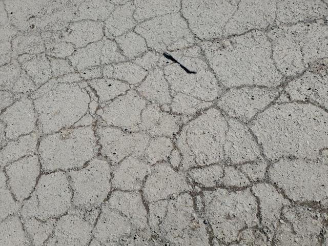 1FMEU73E66UB29030 - 2006 FORD EXPLORER XLT BLACK photo 13