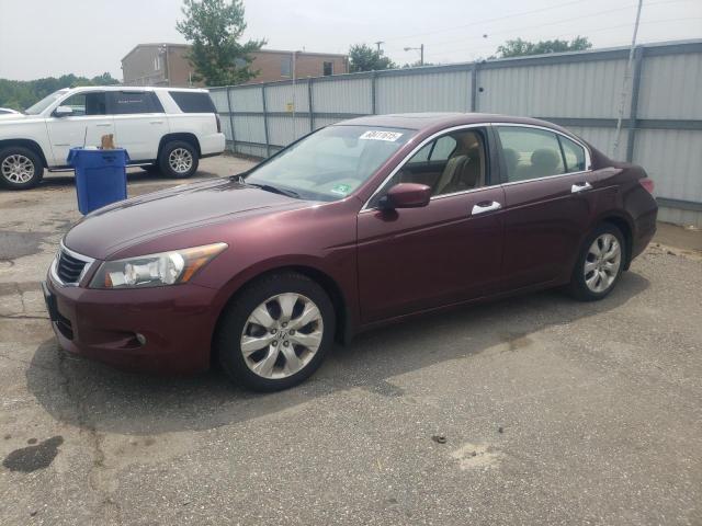 2008 HONDA ACCORD EXL, null