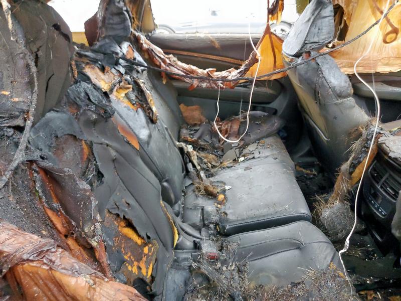 5FRYD3H44GB018186 - 2016 ACURA MDX TECHNOLOGY BURN photo 11