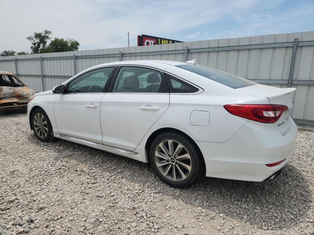 5NPE34AF1GH329598 - 2016 HYUNDAI SONATA SPORT 白色 照片 2