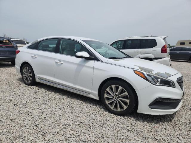 5NPE34AF1GH329598 - 2016 HYUNDAI SONATA SPORT 白色 照片 4