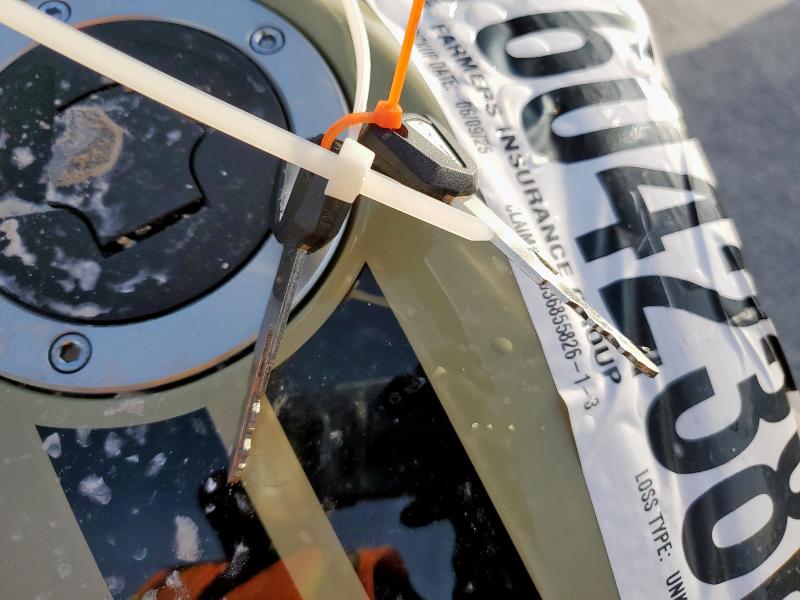 JKAENED11RDA32515 - 2024 KAWASAKI EN650 D GREEN photo 8