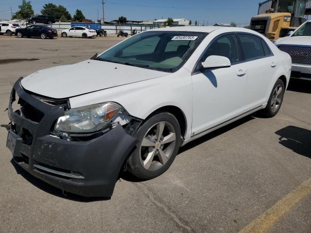 1G1ZF57519F214437 - 2009 CHEVROLET MALIBU HYBRID WHITE photo 1