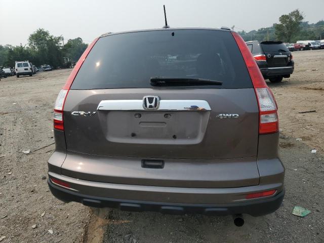 5J6RE4H75BL026056 - 2011 HONDA CR-V EXL GRAY photo 6