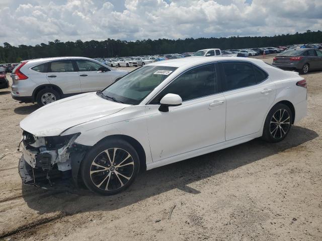 2019 TOYOTA CAMRY L, null