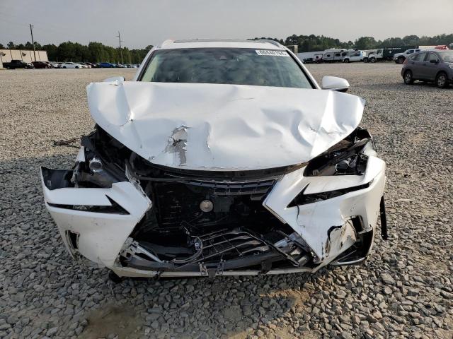 JTJYARBZ2K2121696 - 2019 LEXUS NX 300 BASE Ağ foto 5