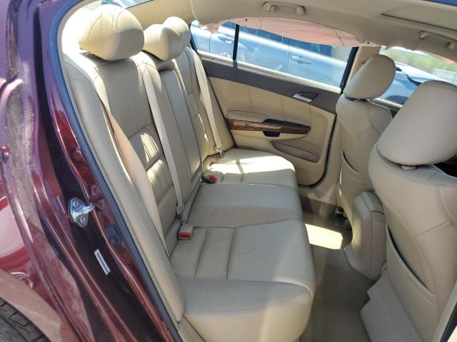 JHMCP26828C023631 - 2008 HONDA ACCORD EXL BURGUNDY photo 10