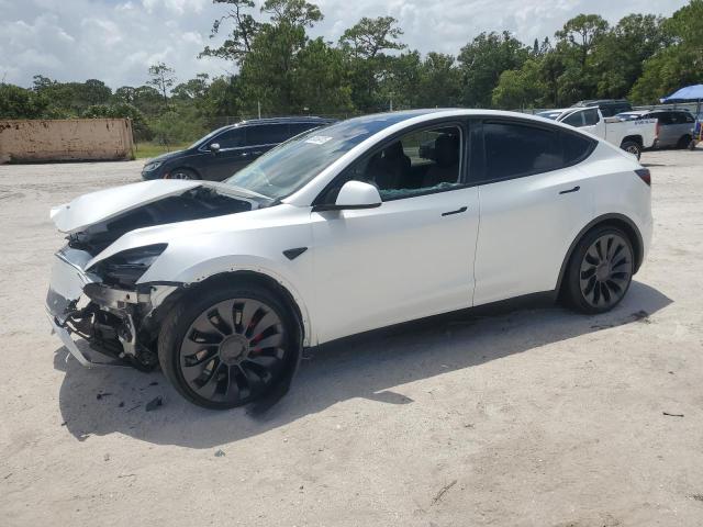 2023 TESLA MODEL Y, null