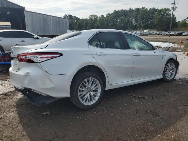 4T1F31AK2LU523486 - 2020 TOYOTA CAMRY XLE 白色 照片 3