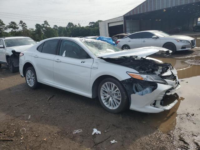 4T1F31AK2LU523486 - 2020 TOYOTA CAMRY XLE 白色 照片 4