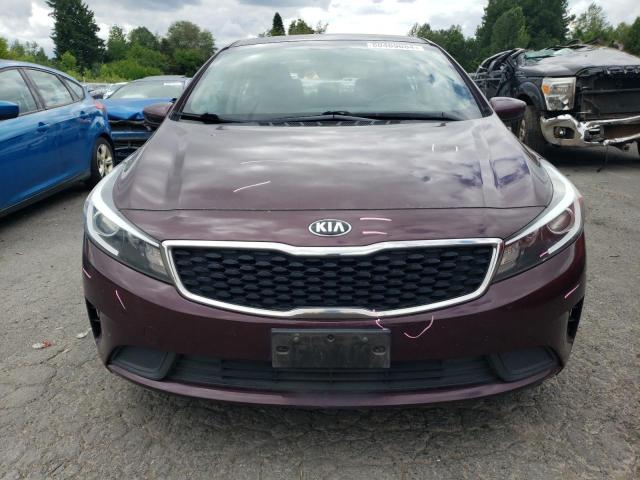 3KPFL4A7XHE151466 - 2017 KIA FORTE LX BURGUNDY photo 5