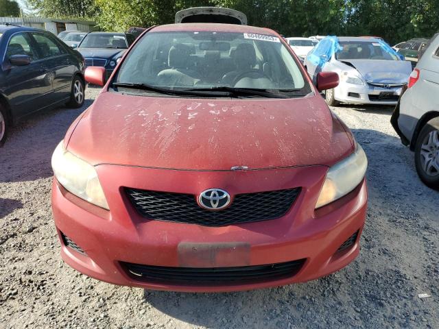 JTDBL40E699042443 - 2009 TOYOTA COROLLA BASE RED photo 5