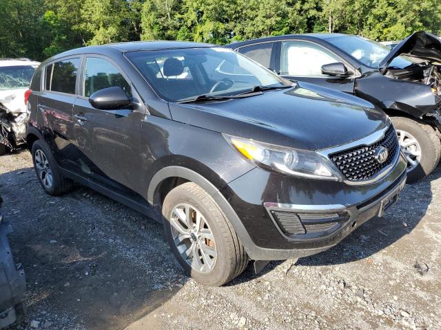 KNDPB3AC7E7567470 - 2014 KIA SPORTAGE BASE BLACK photo 4