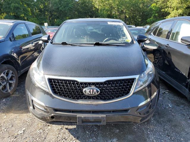 KNDPB3AC7E7567470 - 2014 KIA SPORTAGE BASE BLACK photo 5