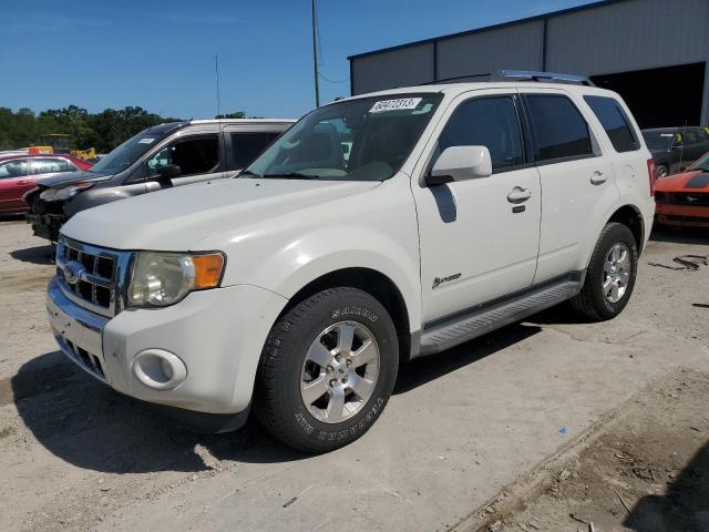 1FMCU49349KA33229 - 2009 FORD ESCAPE HYBRID WHITE photo 1