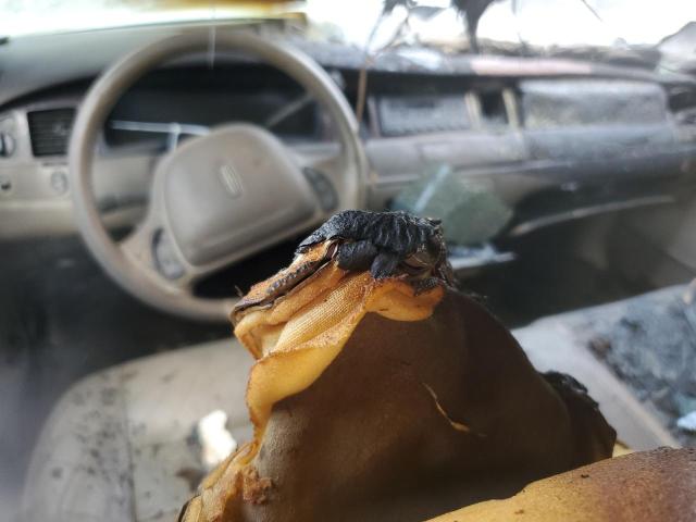 1LNHM81W41Y706878 - 2001 LINCOLN TOWN CAR EXECUTIVE TAN photo 8