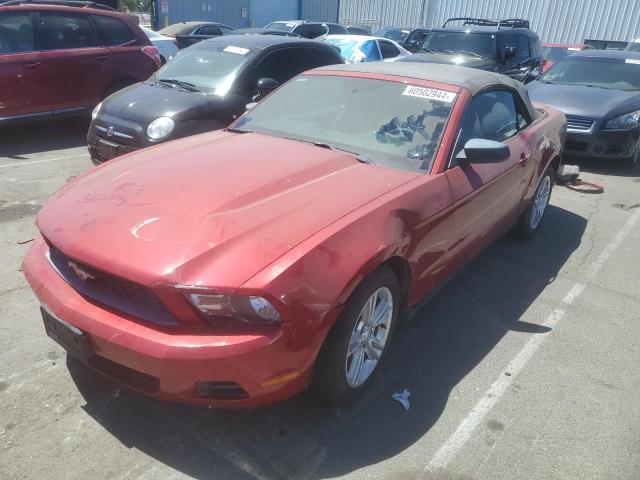 1ZVBP8EN8A5175802 - 2010 FORD MUSTANG BURGUNDY photo 1