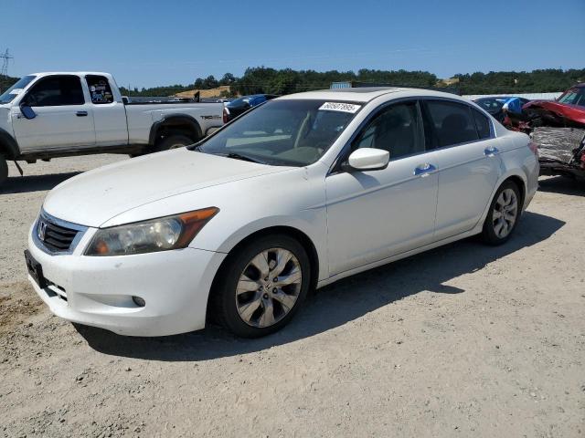 2010 HONDA ACCORD EXL, null