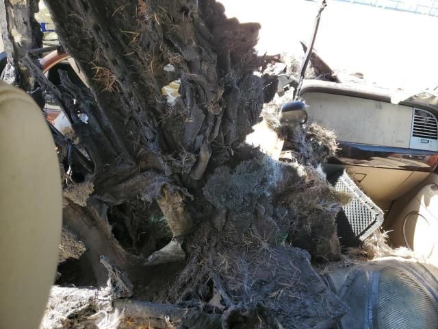 5LMFU27535LJ09370 - 2005 LINCOLN NAVIGATOR თაფლისფერი ფოტო 8