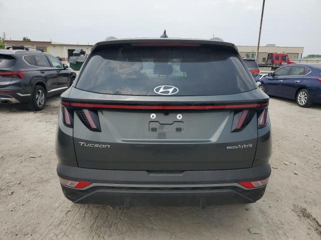 KM8JCCD15RU241408 - 2024 HYUNDAI TUCSON SEL CONVENIENCE 绿色 照片 6