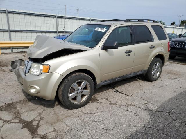 2011 FORD ESCAPE XLT, 